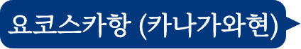 요코스카 (카나가와현)
